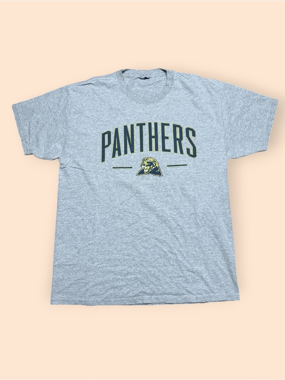 Vintage Pitt Panthers Y2K T Shirt Men’s XL Gray Vtg 2000s Pittsburgh